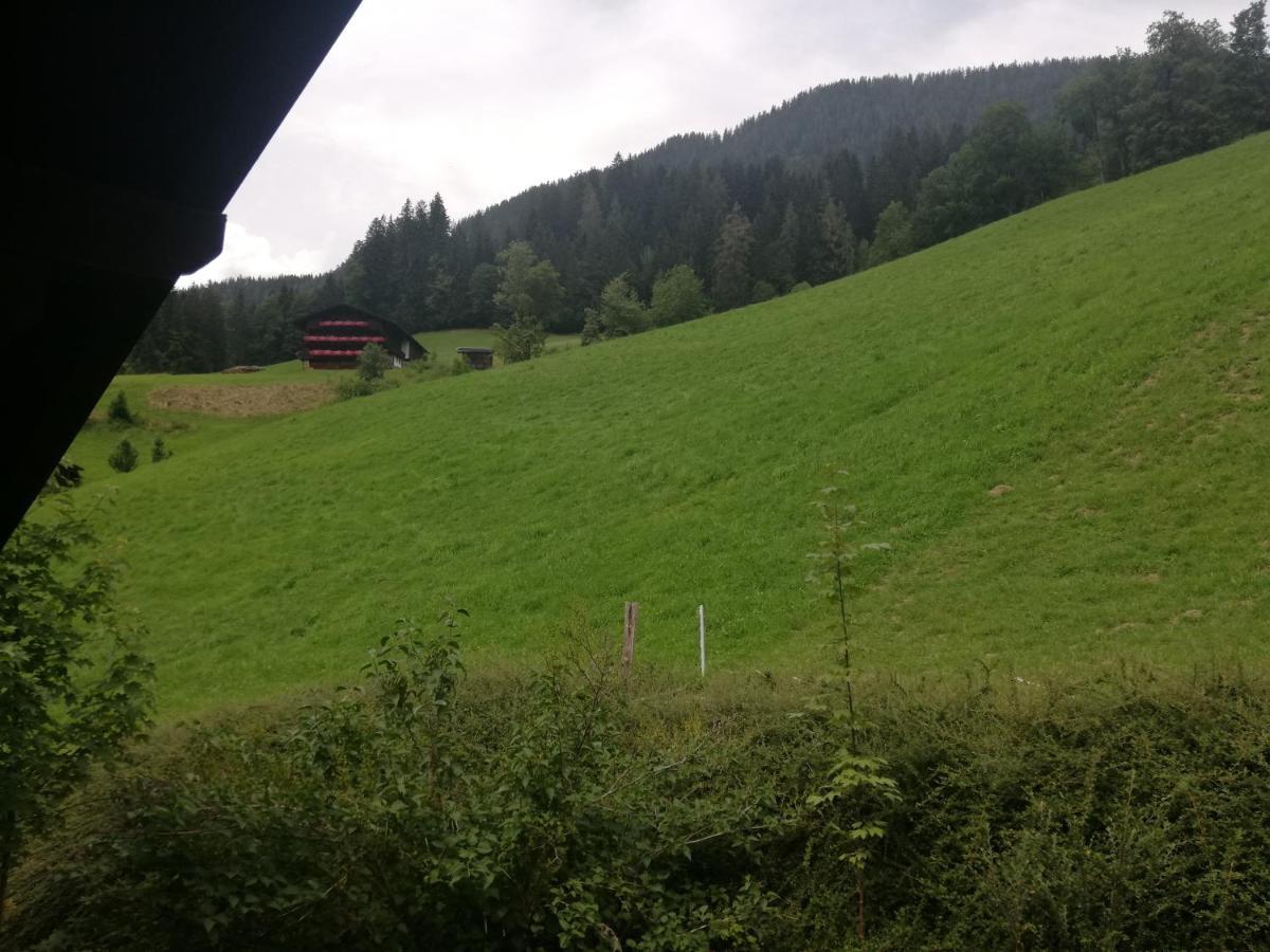 Appartements Zellner Alpbach Buitenkant foto